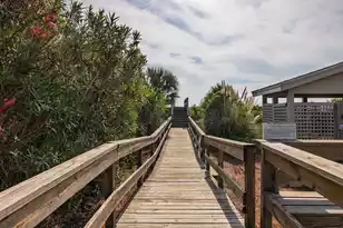 17 Beach Club Villas, Isle Of Palms, SC 29451 - Photo 44
