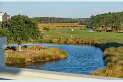 250 Furman Farm Place, Charleston, SC 29492 - Photo 88