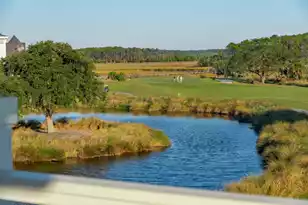 250 Furman Farm Pl, Charleston, SC 29492 - Photo 88