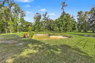0 Rice Road, Ridgeville, SC 29472 - Photo 12
