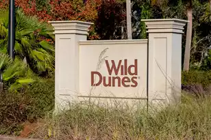 8000 Palmetto Dr, Isle Of Palms, SC 29451 - Photo 36