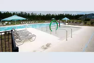 205 Basket Grass Lane, Summerville, SC 29486 - Photo 64