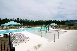 205 Basket Grass Ln, Summerville, SC 29486 - Photo 64