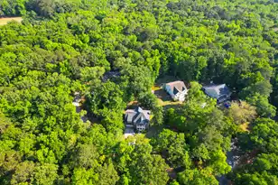 2951 Olivia Marie Ln, Johns Island, SC 29455 - Photo 76