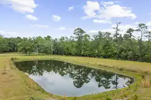 712 Wesley Grove Rd, Cottageville, SC 29435 - Photo 50