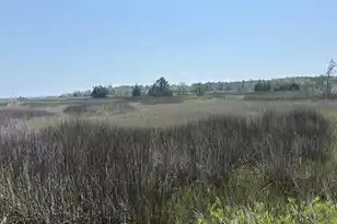 2035 Sol Legare Rd, Charleston, SC 29412 - Photo 1