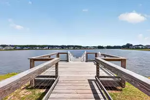 5001 Catfish Loop, Johns Island, SC 29455 - Photo 44