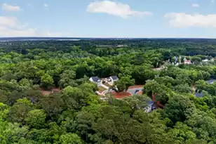 7089 Pumpkinseed Dr, Johns Island, SC 29455 - Photo 52