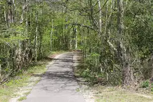 104 Kings Ct, Goose Creek, SC 29445 - Photo 38