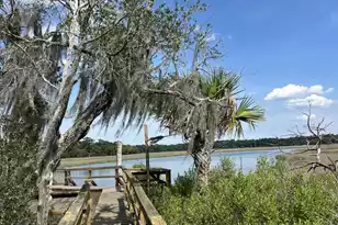 17 Blake Ln, Seabrook, SC 29940 - Photo 64