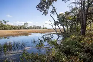 302 Island Park Dr, Charleston, SC 29492 - Photo 24