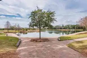 302 Island Park Dr, Charleston, SC 29492 - Photo 28