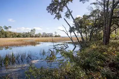 302 Island Park Drive, Charleston, SC 29492 - Photo 24