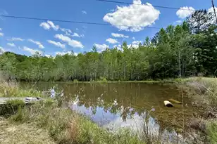 337 Weathers Farm Rd, Bowman, SC 29018 - Photo 36