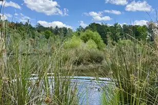 337 Weathers Farm Rd, Bowman, SC 29018 - Photo 34