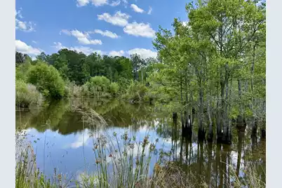 337 Weathers Farm Road, Bowman, SC 29018 - Photo 36