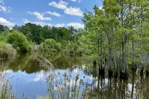 337 Weathers Farm Rd, Bowman, SC 29018 - Photo 36