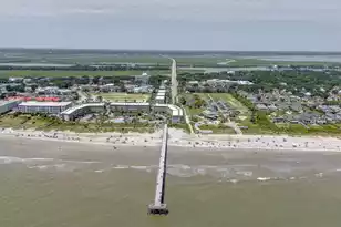 17 Sand Dollar Dr, Isle Of Palms, SC 29451 - Photo 78