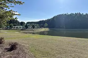 115 Lindera Preserve Blvd, Summerville, SC 29486 - Photo 8