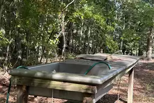 1277 Ackerman Dr, Summerton, SC 29148 - Photo 32