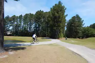 295 Shadybrook Dr Dr, Summerville, SC 29486 - Photo 26