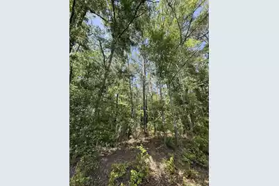 0 Moffett Road, Hollywood, SC 29449 - Photo 4