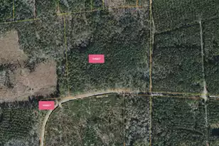 0 Moffett Rd, Hollywood, SC 29449 - Photo 1