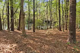 384 Suwanee Dr, Vance, SC 29163 - Photo 36