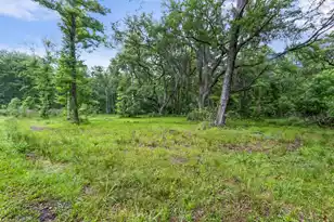 7855 Mary Seabrook Rd, Edisto Island, SC 29438 - Photo 6