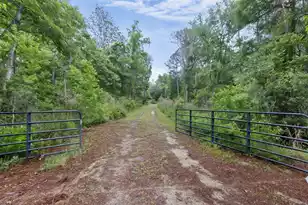 7855 Mary Seabrook Rd, Edisto Island, SC 29438 - Photo 34