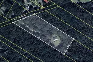 7855 Mary Seabrook Rd, Edisto Island, SC 29438 - Photo 2