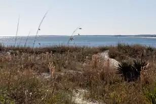 1345 Pelican Watch Villas, Seabrook Island, SC 29455 - Photo 24