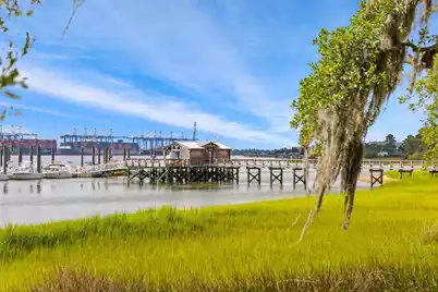 164 Etiwan Park Street, Daniel Island, SC 29492 - Photo 66