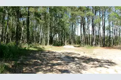 1108 Saint Thomas Island Drive, Wando, SC 29492 - Photo 1