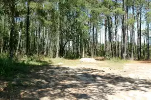 1108 St Thomas Island Dr, Wando, SC 29492 - Photo 1