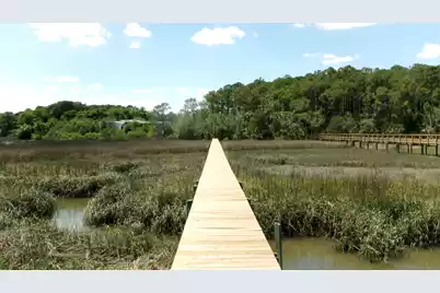 1108 Saint Thomas Island Drive, Wando, SC 29492 - Photo 14