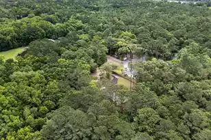 1019 Sago Ct, Johns Island, SC 29455 - Photo 44