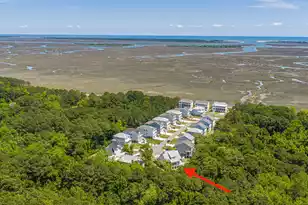 1087 Capersview Ct, Awendaw, SC 29429 - Photo 66