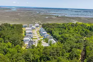 1087 Capersview Ct, Awendaw, SC 29429 - Photo 76