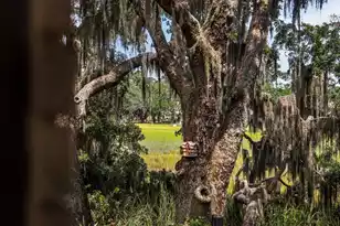 897 Kushiwah Creek Ct, Charleston, SC 29412 - Photo 72