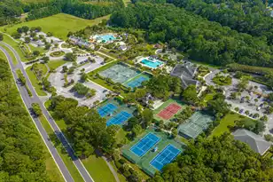 2325 Darts Cove Way, Mount Pleasant, SC 29466 - Photo 66