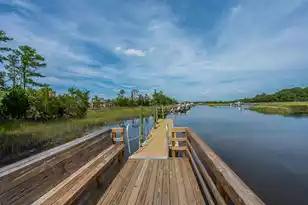 2325 Darts Cove Way, Mount Pleasant, SC 29466 - Photo 72
