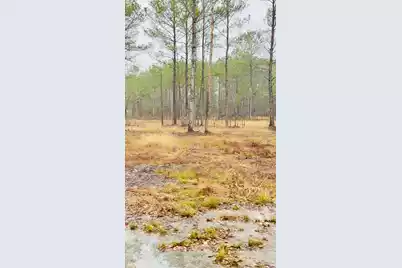 312 Heaven Drive, Saint Stephen, SC 29479 - Photo 1