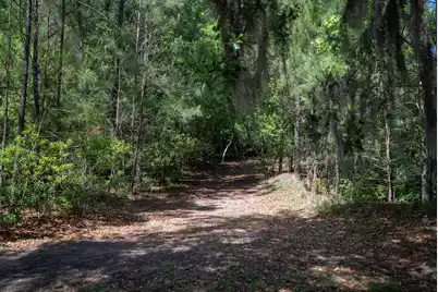 5060 Catfish Loop, Johns Island, SC 29455 - Photo 56