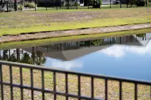 5060 Catfish Loop, Johns Island, SC 29455 - Photo 50