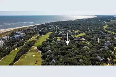 10 Dune Ridge Lane, Isle Of Palms, SC 29451 - Photo 60