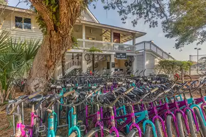 10 Dune Ridge Lane, Isle Of Palms, SC 29451 - Photo 68