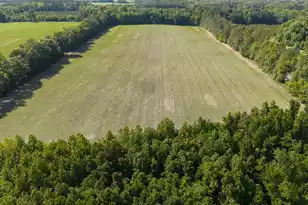 155-Ac Westberry Dr, Vance, SC 29163 - Photo 2