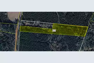 1462 Johnsville Road, Smoaks, SC 29481 - Photo 1