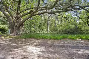 2496 Boy Scout Rd, Wadmalaw Island, SC 29487 - Photo 1